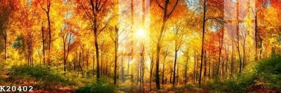 File in trần File gốc in tranh tổng hợp K20402 (file gốc) xuyên sáng