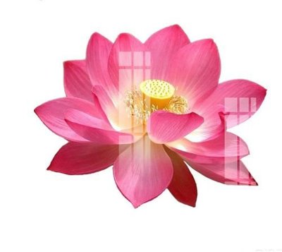 File in trần File gốc in tranh tổng hợp K20411 (file gốc) phong thủy