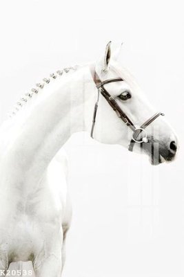 File gốc File gốc in tranh tổng hợp K20538 (trang trí) phòng làm việc