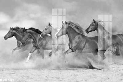 File in ấn File gốc in tranh tổng hợp K20543 (bản gốc) từ file gốc