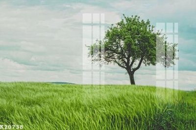 File in lụa File gốc in tranh tổng hợp K20738 (tân cổ điển) File gốc in tranh tổng hợp K20738