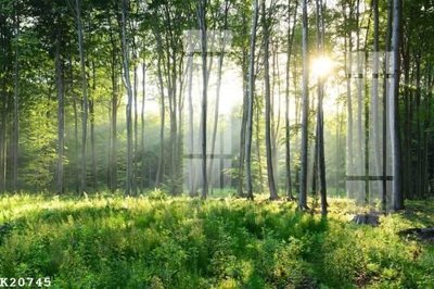 Download file File gốc in tranh tổng hợp K20745 (gốc) in mica đèn LED