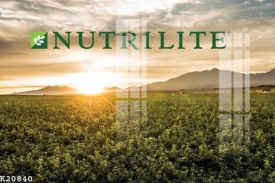 File ảnh gốc File gốc in tranh tổng hợp K20840 (chuyên in mica)