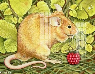 File tranh trang trí File gốc in tranh tổng hợp K20914 (tải file gốc)