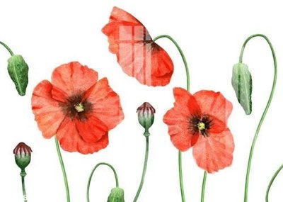 Tải file File gốc in tranh tổng hợp K20983 (gốc) để in ấn ngay