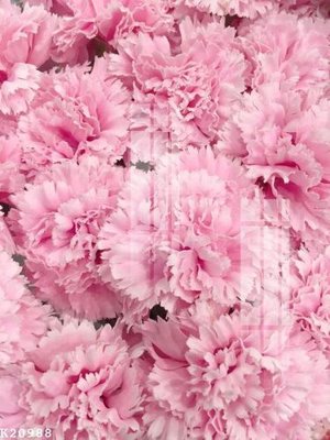 File in trần File gốc in tranh tổng hợp K20988 (bản gốc) bầu trời