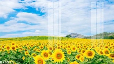 File gốc File gốc in tranh tổng hợp K20990 (in mica) trang trí