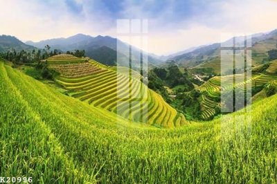 File gốc File gốc in tranh tổng hợp K20996 (PNG) nền trong suốt