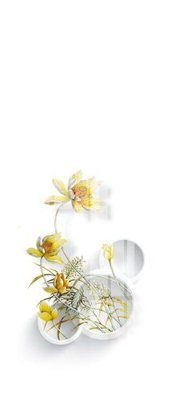 File tranh File gốc in tranh tổng hợp K21126 (ảnh gốc) độ nét vượt trội