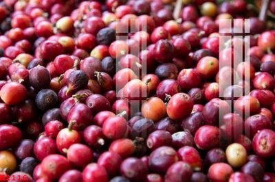 File gốc File gốc in tranh tổng hợp K2116 (cho in UV) siêu nét