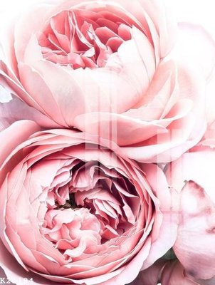 Tải file tranh gốc File gốc in tranh tổng hợp K21194 chất lượng cao