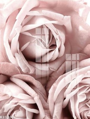 File tranh File gốc in tranh tổng hợp K21200 (bản gốc) in canvas