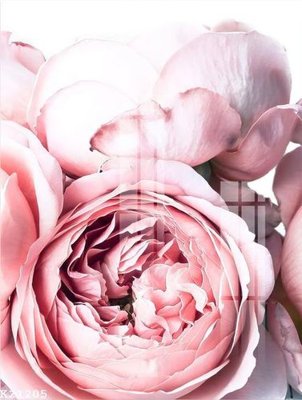 Hình ảnh file gốc File gốc in tranh tổng hợp K21205 (chất lượng cao)