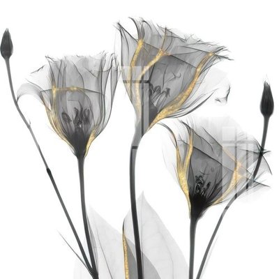 File gốc File gốc in tranh tổng hợp K21474 (thiết kế) cho in ấn