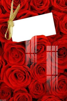 File tranh gốc File gốc in tranh tổng hợp K21699 (bản quyền) độc đáo