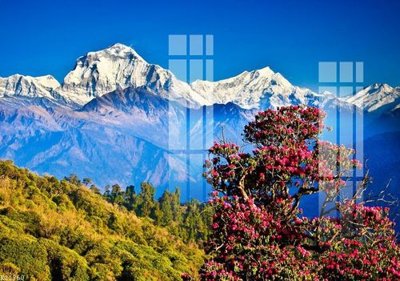 Ảnh gốc File gốc in tranh tổng hợp K21760 (nét căng) in mica