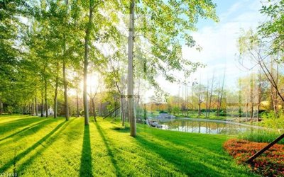 Tải file File gốc in tranh tổng hợp K21840 (ảnh gốc) in gạch men