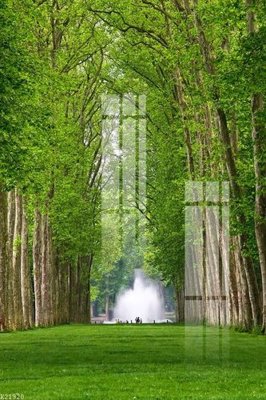 Tải file File gốc in tranh tổng hợp K21920 (ảnh gốc) file AI/EPS