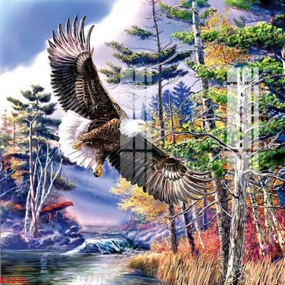 File in trần File gốc in tranh tổng hợp K2201 (bản gốc) đại dương