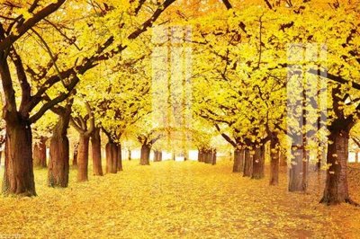 File PSD File gốc in tranh tổng hợp K22200 (gốc) tách lớp chi tiết