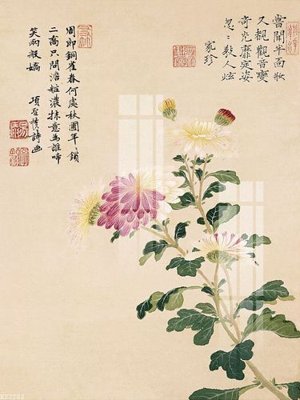 Download file gốc File gốc in tranh tổng hợp K22202 (in mica) trong suốt