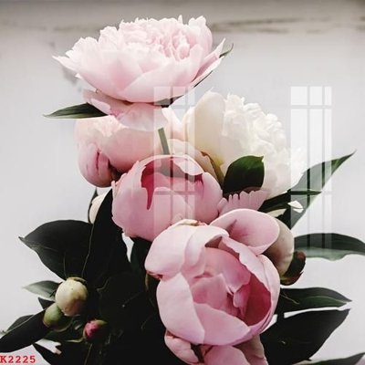 File tranh File gốc in tranh tổng hợp K2225 (bản gốc) in lụa 5D