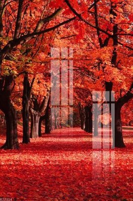 Tải file File gốc in tranh tổng hợp K22314 (ảnh gốc) 300dpi File gốc in tranh tổng hợp K22314