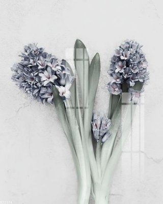 File in ấn File gốc in tranh tổng hợp K22374 (bản gốc) chất lượng cao