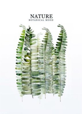 File tranh File gốc in tranh tổng hợp K22429 (ảnh gốc) in trần xuyên sáng