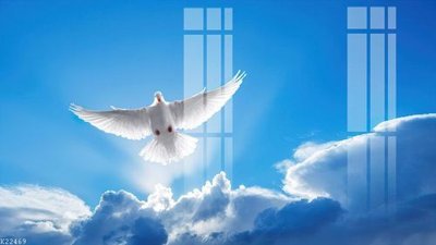 Tải file File gốc in tranh tổng hợp K22469 (ảnh gốc) in gạch 3D