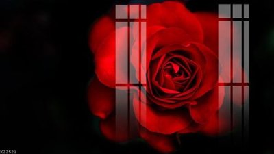 File tranh File gốc in tranh tổng hợp K22521 (ảnh gốc) chi tiết rõ ràng