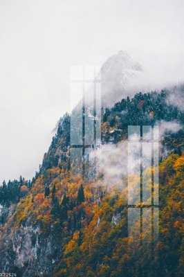 File in trần File gốc in tranh tổng hợp K22526 (file gốc) hoa văn 3D