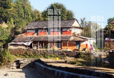 File tranh File gốc in tranh tổng hợp K22645 (gốc) chủ đề động vật