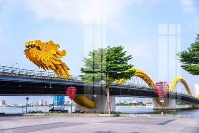 File ảnh File gốc in tranh tổng hợp K22658 (gốc) in decal dán tường