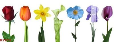 Download file gốc File gốc in tranh tổng hợp K2272 (in lụa) cao cấp