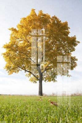 Tải file gốc File gốc in tranh tổng hợp K22897 (in tráng gương) 3DFile gốc File gốc in tranh tổng hợp K22897 (sẵn sàng in) chất lượng cao