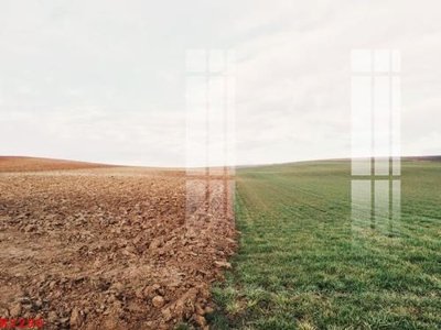 File gốc File gốc in tranh tổng hợp K2290 (PNG) không nền chất lượng