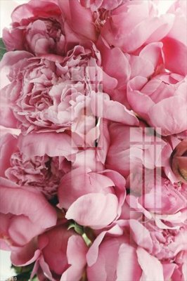 File gốc File gốc in tranh tổng hợp K22910 (phong cách) cổ điển