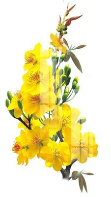 File in trần File gốc in tranh tổng hợp K22952 (bản gốc) phong cảnh