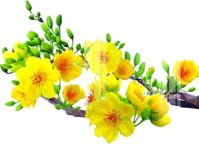 Download file gốc File gốc in tranh tổng hợp K22955 (dùng cho in ấn)