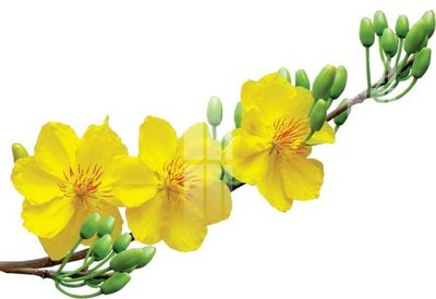 Tải file gốc File gốc in tranh tổng hợp K22956 (in khổ lớn) không mờ