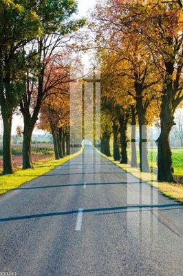 File gốc File gốc in tranh tổng hợp K23263 (bản quyền) cho in ấn