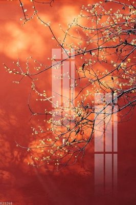 Download file File gốc in tranh tổng hợp K23268 (gốc) cho xưởng in