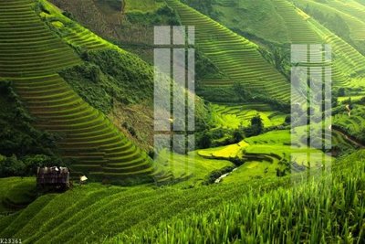 Ảnh mô tả file gốc in mica File gốc in tranh tổng hợp K23361