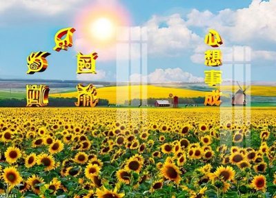 File tranh File gốc in tranh tổng hợp K23444 (bản gốc) treo quán cafe