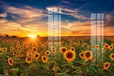 Tải file gốc File gốc in tranh tổng hợp K23474 (in khổ lớn) quảng cáo