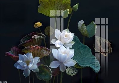 File tranh File gốc in tranh tổng hợp K23572 (ảnh gốc) in trần nhà