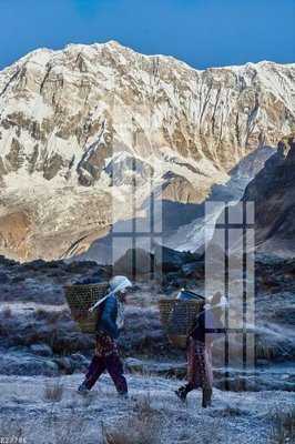 File ảnh File gốc in tranh tổng hợp K23786 (gốc) in standee