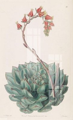 File gốc File gốc in tranh tổng hợp K23800 (PNG) nền trong suốt