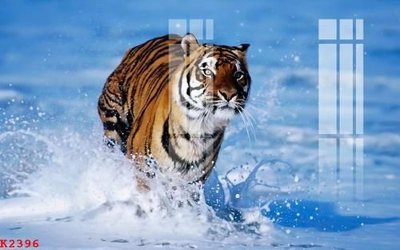 File gốc File gốc in tranh tổng hợp K2396 (PSD/TIFF) độ phân giải cao